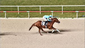 Başkanlık Kupası'nı "Lozan" kazandı  