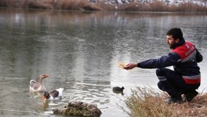 BİR LOKMADA BİN HAYAT...