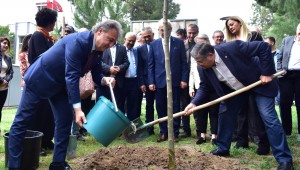 Bornova sokakları ıhlamur kokacak