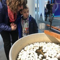 Bursa ipeğine Almanya'da büyük ilgi