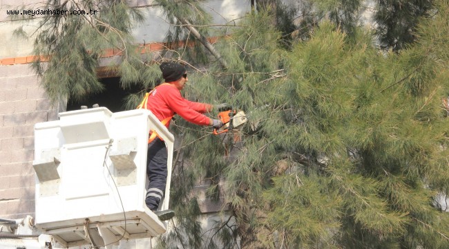 Çiğli Belediyesi'nden 10 Binlik Rekor