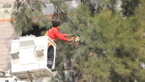 Çiğli Belediyesi'nden 10 Binlik Rekor