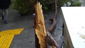 Fırtına için acil ekip