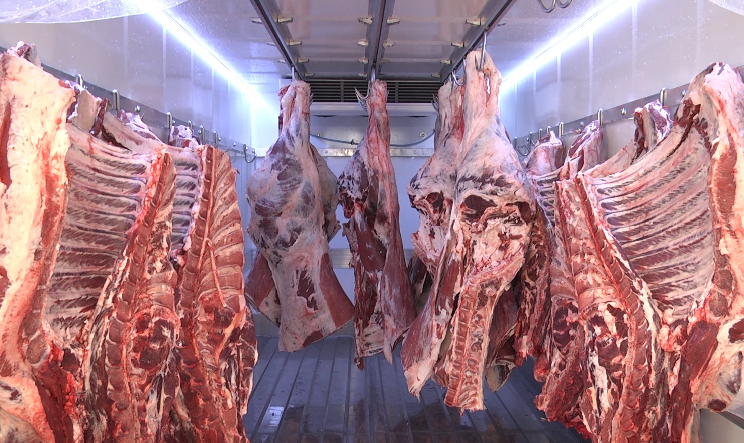 Gıda Bankası, adak kurbanlarını ihtiyaç sahiplerine ulaştırıyor