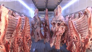 Gıda Bankası, adak kurbanlarını ihtiyaç sahiplerine ulaştırıyor