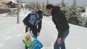 İzmit Belediyesi sokak hayvanlarını unutmuyor