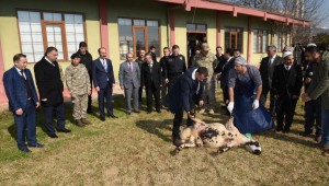 Milletimizin Selameti İçin Şanlıurfa'da Kurban Kesildi Dua Edildi