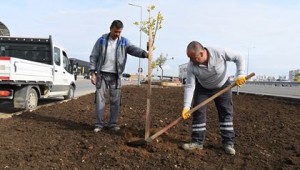 Sarısu Mahallesine 15 bin metrekare peyzaj