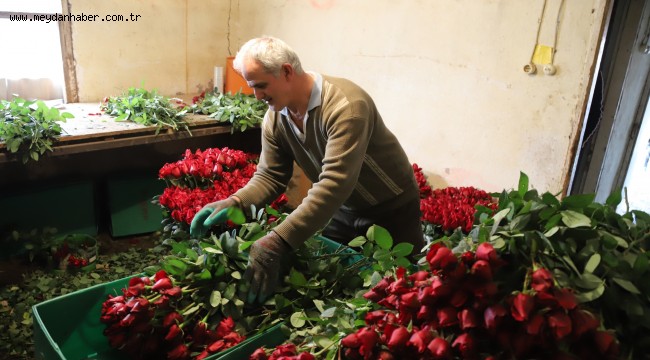 Sevgililerin Gülleri Menderes'ten