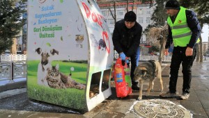 UŞAK BELEDİYESİ SOĞUK HAVALARDA SOKAK HAYVANLARINI UNUTMADI