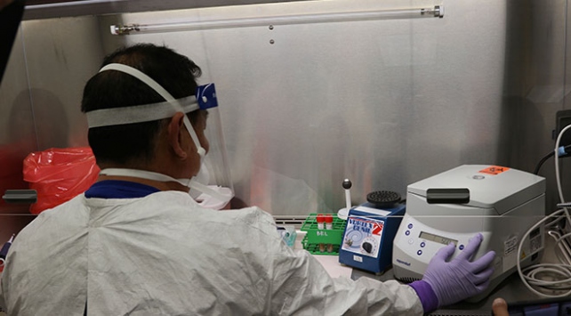 ABD ordusu: Koronavirüs aşısı farelerde denenmeye başlandı