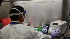 ABD ordusu: Koronavirüs aşısı farelerde denenmeye başlandı