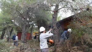 Başkan Esen, "Mesire alanın ismini halk belirleyecek"
