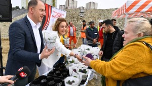 BEYLİKDÜZÜ'NDE 350 YETİŞKİN AĞAÇ EŞİTLİK VE ÖZGÜRLÜK İÇİN DİKİLDİ