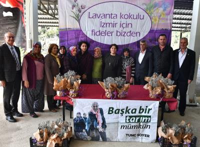 Büyükşehir 5 bin lavanta fidesi dağıttı