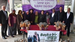 Büyükşehir 5 bin lavanta fidesi dağıttı