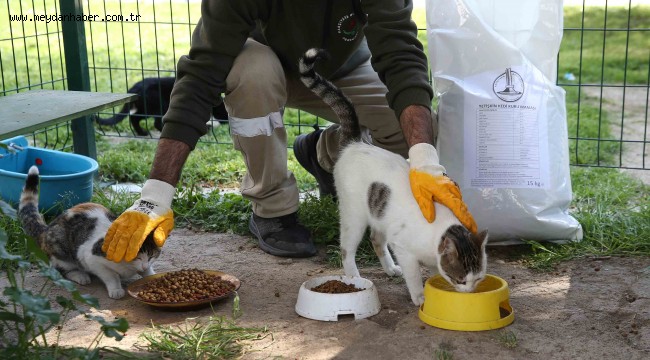 Can dostlar Karşıyaka Belediyesi'ne emanet 