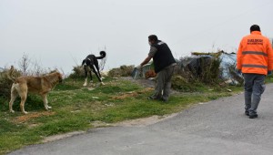 Narlıdere'de can dostlar unutulmadı!