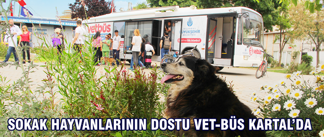 Sokak Hayvanlarının Dostu VET-BÜS Kartal'da
