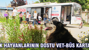 Sokak Hayvanlarının Dostu VET-BÜS Kartal'da