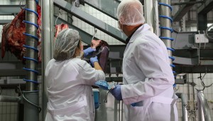 Veteriner hekimler sokağa çıkma yasağından muaf tutulmalı