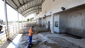 ALTINDAĞ'DA KURBAN HAZIRLIĞI BAŞLADI