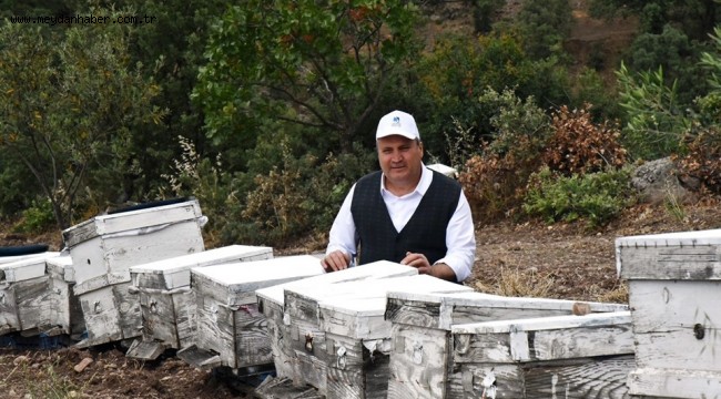 ARICILIK YUNUSEMRE İLE GELİŞİYOR