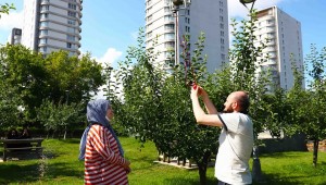 Bağcılar Belediyesi personelinden sıra dışı evlilik teklifi