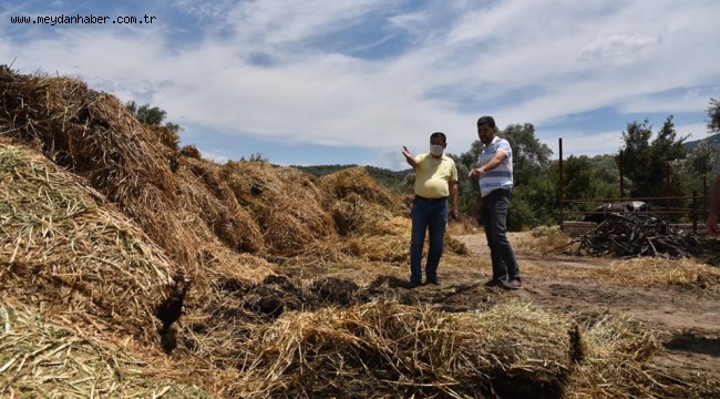 BAŞKAN TOKAT YANGIN ALANLARINDA İNCELEMEDE BULUNDU