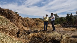 BAŞKAN TOKAT YANGIN ALANLARINDA İNCELEMEDE BULUNDU