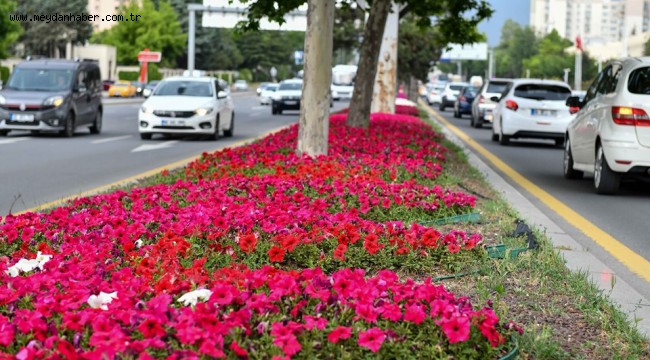BAŞKENT'İN CADDELERİ RENGARENK