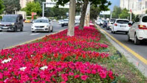 BAŞKENT'İN CADDELERİ RENGARENK
