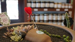 BODRUM TARKO AÇILDI, İLK ALIŞVERİŞİ BELEDİYE BAŞKANI YAPTI