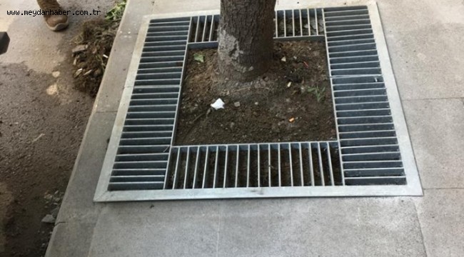 Bu mazgallar kaldırımlardaki engelleri kaldıracak 