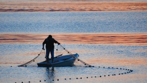 BÜYÜKŞEHİR'DE SANAL SERGİ DÖNEMİ