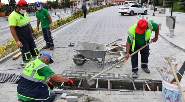 ÇİÇEK GİBİ BAŞKENT