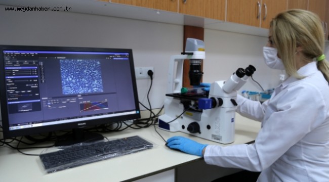 Cumhuriyet Üniversitesi'nden kanser verilerini toplayacak yazılım