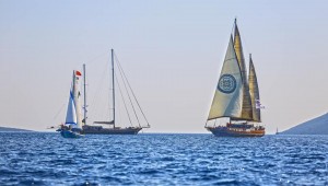 "Denizcilik ve Kabotaj Bayramı Kutlu Olsun"