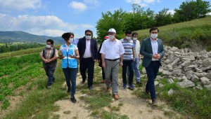 Doğal Yaşam Köyü ve Lavanta Bahçeleri Projeleri Hayata Geçiyor