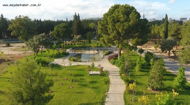 Dünyanın doğası Dokuma'da