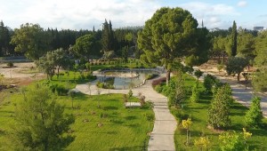 Dünyanın doğası Dokuma'da