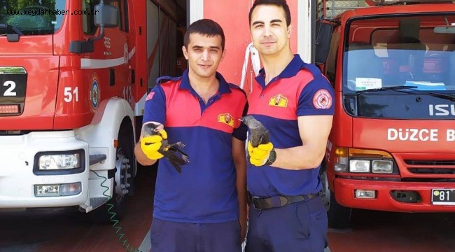 DÜZCE BELEDİYESİ İTFAİYE EKİPLERİ KARGALARI KURTARDI