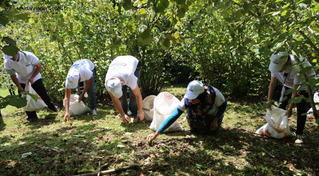 FINDIK DALDA KALMAYACAK
