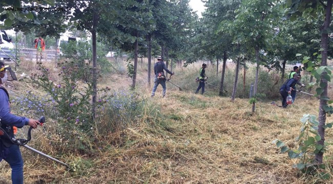 Gebze'de D-100 ve otoyol kenarlarında temizlik yapıldı