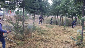 Gebze'de D-100 ve otoyol kenarlarında temizlik yapıldı