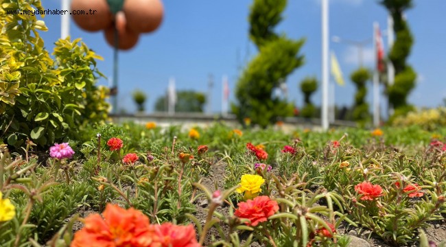HBB ŞEHRİ RENGÂRENK ÇİÇEKLERLE DONATIYOR