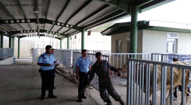 İzmit Belediyesi Modern Hayvan Pazarı Kurban Bayramı'na hazır