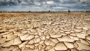 Kuraklık dünyada 4 milyar hektar alanı tehdit ediyor