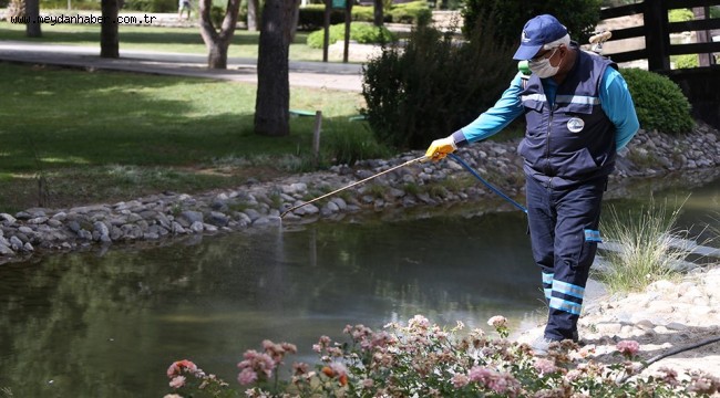 MERKEZEFENDİ'DE HAŞERELERLE MÜCADELE DEVAM EDİYOR