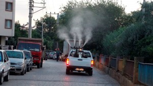 Ödemiş Belediyesi uçkunla mücadeleye başladı